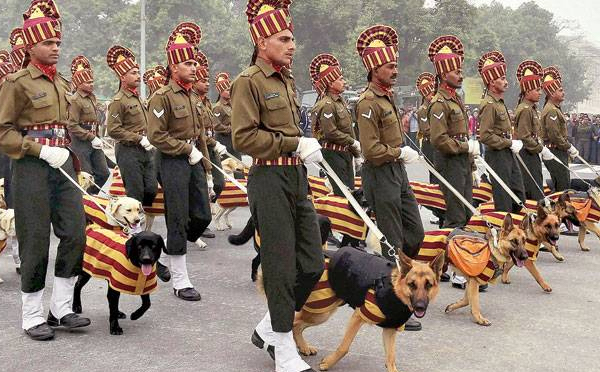 after the retirement army dogs get death sentence know reason